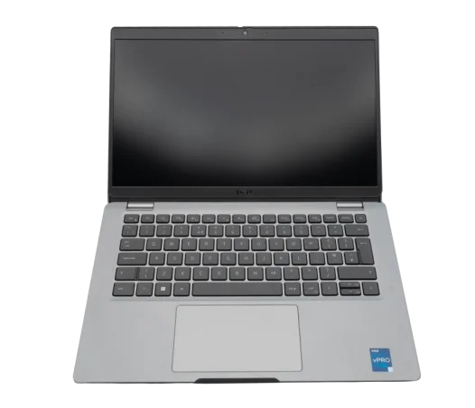 two men using laptop